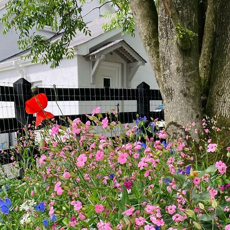 Beech Tree Cottage Glenwherry Exterior foto